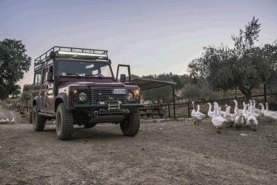 Night safari and aperitif near Florence Night safari and aperitif near Florence