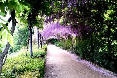 Gardens of Florence Private Tour Gardens of Florence Private Tour