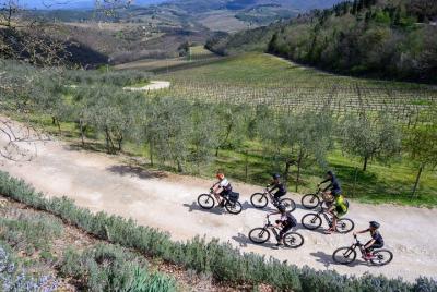 Discovering Chianti, e-bike tour - 1 day - Easy Discovering Chianti, e-bike tour - 1 day - Easy