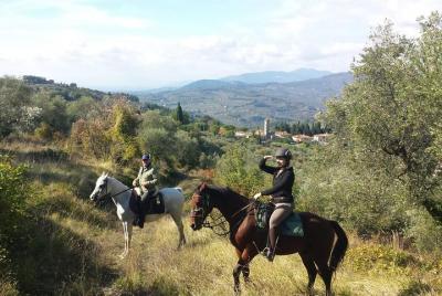 Horseback riding with olive oil tasting tour and Lunch in a medieval manor  Horseback riding with olive oil tasting tour and Lunch in a medieval manor