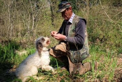 Private Truffle hunt in Tuscany from Florence Private Truffle hunt in Tuscany from Florence