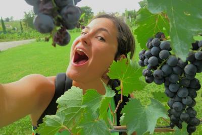 Pisa & Tuscany - Day Tour from Florence Pisa & Tuscany - Day Tour from Florence