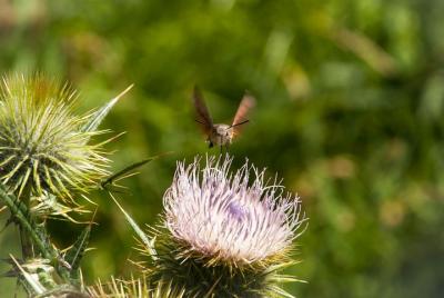 Yoga in the countryside Yoga in the countryside