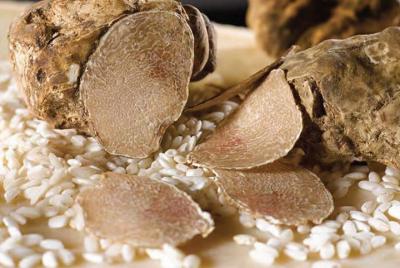 Truffle Lovers Tour Truffle Lovers Tour