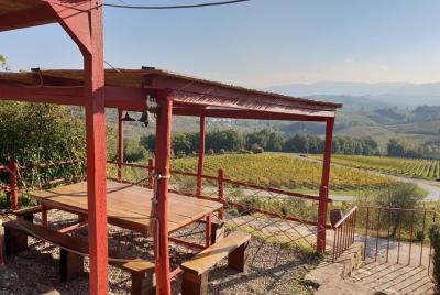 Wine and Food in Chianti Classico Half Day from Florence Wine and Food in Chianti Classico Half Day from Florence