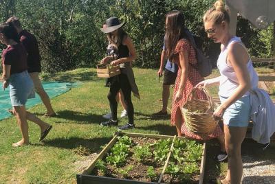 Visit Farm, Cellar, Vineyards with Cooking Class Visit Farm, Cellar, Vineyards with Cooking Class