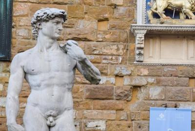 Accademia Gallery and David, Small group semi private tour (max 10 -11 peoples ) Accademia Gallery and David, Small group semi private tour (max 10 -11 peoples )