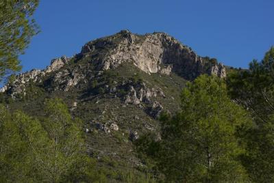 Guided walking tour of Pico el Cielo Guided walking tour of Pico el Cielo