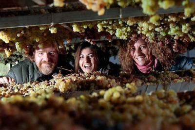 Piazzano wine experience: discover a family business winery close to Florence Piazzano wine experience: discover a family business winery close to Florence