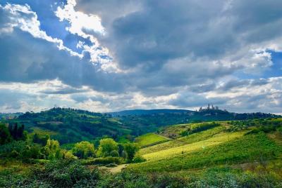 Chianti Wine Experience Tour Chianti Wine Experience Tour