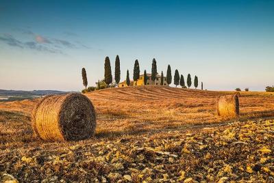 Private Chianti Tuscany Wine Tasting Tour from Florence Private Chianti Tuscany Wine Tasting Tour from Florence