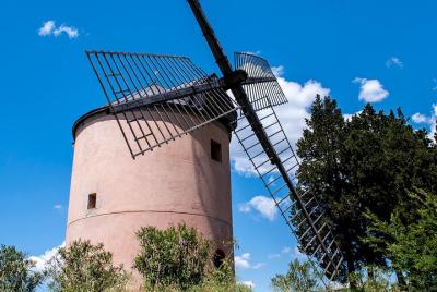 Leonardo Da Vinci Leonardo Da Vinci's wind mill visit and Organic olive oil tasting