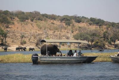 Chobe day safari from Victoria Falls Chobe day safari from Victoria Falls