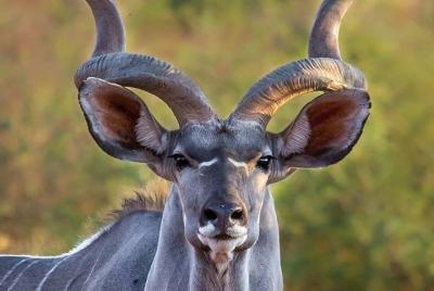Victoria Falls to Matopos National Park ! Victoria Falls to Matopos National Park !