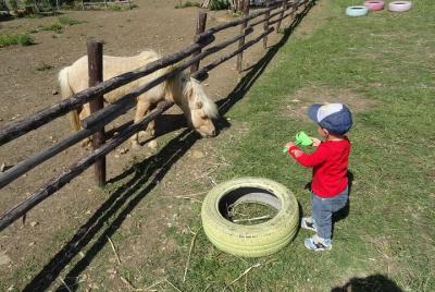 Tour for children to discover Civitavecchia and visit to the Far  Tour for children to discover Civitavecchia and visit to the Far
