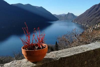 Half-Day Bike Tour around Lake Lugano with Lunch Half-Day Bike Tour around Lake Lugano with Lunch