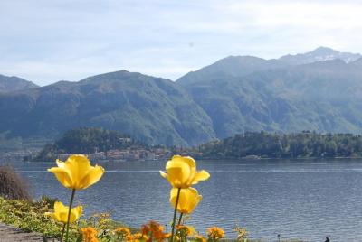 The jewels of lake Como: villas and gardens between Tremezzo and Bellagio The jewels of lake Como: villas and gardens between Tremezzo and Bellagio