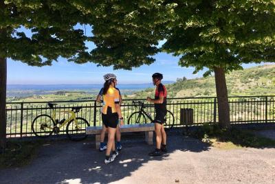 Racing Bike Tour from Garda Lake to Valpolicella and Verona Racing Bike Tour from Garda Lake to Valpolicella and Verona