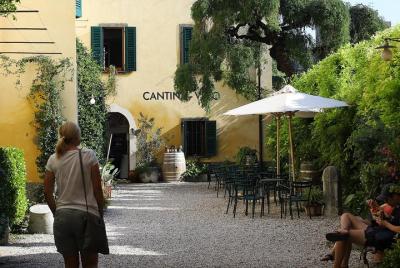 Wine Tasting in Historical Center of Lazise Wine Tasting in Historical Center of Lazise