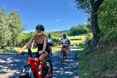 Bike tour Between the Vineyards and Wine Tasting in Lazise Bike tour Between the Vineyards and Wine Tasting in Lazise