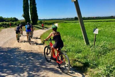 Bike Tour and Wine Tasting in Colà di Lazise Bike Tour and Wine Tasting in Colà di Lazise