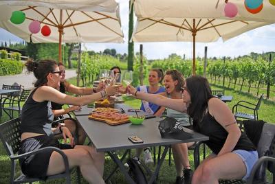 Wine and Food Tasting in the Vineyards in Lazise Wine and Food Tasting in the Vineyards in Lazise