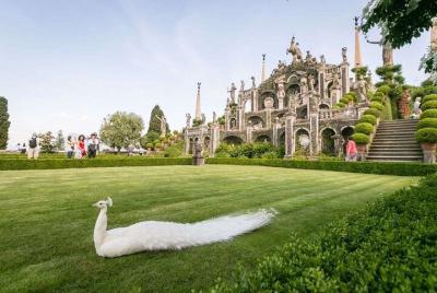 Tour of the Bella island, in Stresa, in the Borromeo Gulf Tour of the Bella island, in Stresa, in the Borromeo Gulf