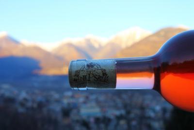 Wine tasting in the Ossola Vineyards Wine tasting in the Ossola Vineyards