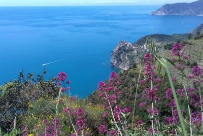 Cinque Terre unforgettable hiking experience Cinque Terre unforgettable hiking experience