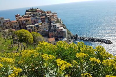 Authentic Cinque Terre - private tour Authentic Cinque Terre - private tour