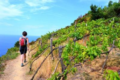 Private Cinque Terre Full Experience: Hiking, Villages, Including Wine and Lunch Private Cinque Terre Full Experience: Hiking, Villages, Including Wine and Lunch
