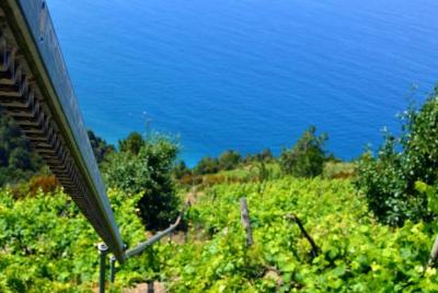 Private Cinque Terre Villages and Vineyards  Private Cinque Terre Villages and Vineyards