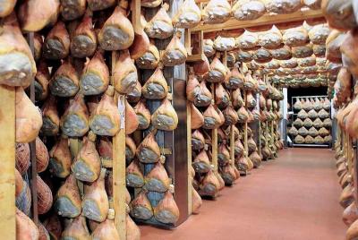 Shore Excursion from La Spezia to Parmesan Cheese, Ham & Balsamic Vinegar - Tour Shore Excursion from La Spezia to Parmesan Cheese, Ham & Balsamic Vinegar - Tour