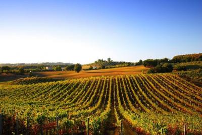 Day trip from La Spezia pier: San Gimignano and wine tasting - private tour Day trip from La Spezia pier: San Gimignano and wine tasting - private tour