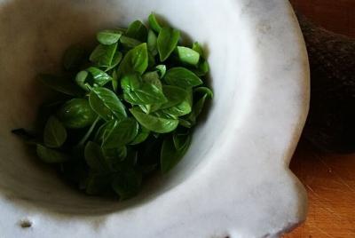 Pesto and Pasta Cooking Class Pesto and Pasta Cooking Class