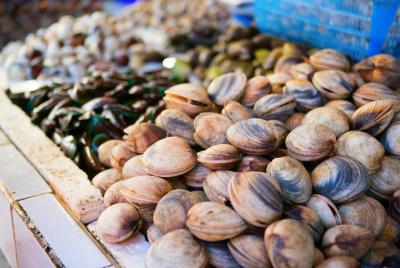 Small Group Market tour and Cooking class in La Spezia Small Group Market tour and Cooking class in La Spezia