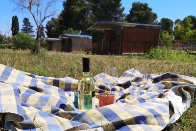 Picnic Experience in Lecce Picnic Experience in Lecce