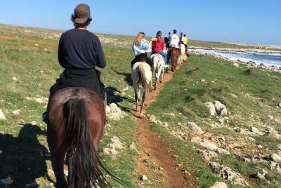 Horse excursion: Otranto, the Cava di Bauxite and the Baia delle Orte Horse excursion: Otranto, the Cava di Bauxite and the Baia delle Orte