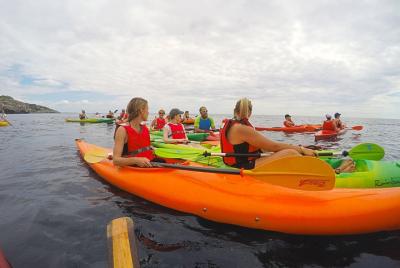 Salento Kayak Experiences Salento Kayak Experiences