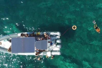 Tour in barca a Porto Selvaggio e le sue grotte Tour in barca a Porto Selvaggio e le sue grotte