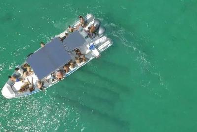 Tour in barca a Porto Cesareo, Punta Prosciutto, Isole e Colonne Greco Romane Tour in barca a Porto Cesareo, Punta Prosciutto, Isole e Colonne Greco Romane