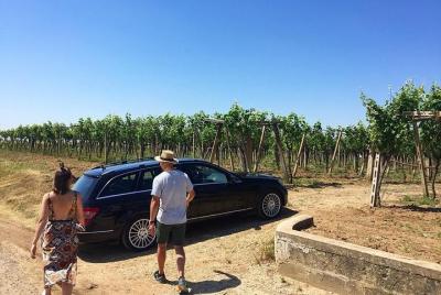 Wine Tour and Light Lunch Salento and Puglia Wine Tour and Light Lunch Salento and Puglia