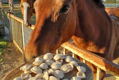 Cooking Class in a Ranch kitchen in Lecce Cooking Class in a Ranch kitchen in Lecce