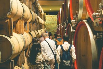 WINE TOUR - SALENTO and PUGLIA WINE TOUR - SALENTO and PUGLIA