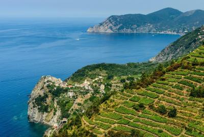 Shore Excursion from Livorno Port: Private Full day Tour Cinque Terre and Pisa  Shore Excursion from Livorno Port: Private Full day Tour Cinque Terre and Pisa