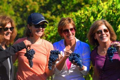 Shore Excursion from Livorno Truffle Hunting, Cooking Class & Chianti Wine Tour Shore Excursion from Livorno Truffle Hunting, Cooking Class & Chianti Wine Tour