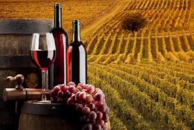 Bella Toscana Private Tour: 2 Chianti Wineries and San Gimignano From Livorno Bella Toscana Private Tour: 2 Chianti Wineries and San Gimignano From Livorno