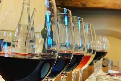 Guided Winery Tour with Tasting & Light Lunch in Bolgheri Guided Winery Tour with Tasting & Light Lunch in Bolgheri