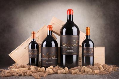 Visit with Bolgheri wine tasting Visit with Bolgheri wine tasting