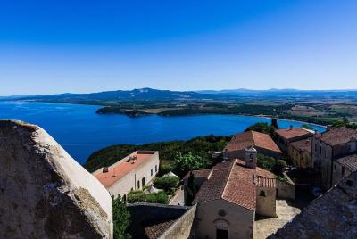Private tour from Livorno port: the Etruscan coast & wine Private tour from Livorno port: the Etruscan coast & wine